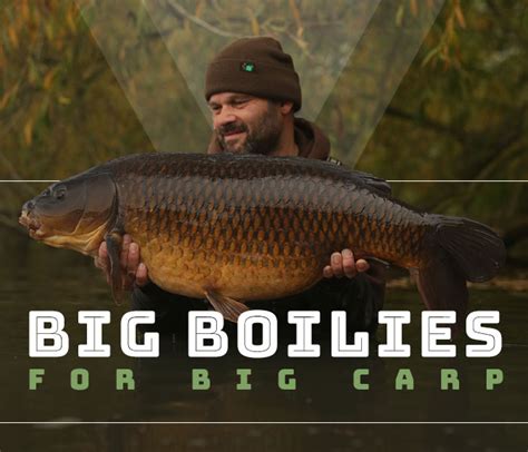 lv baits boilies boom|Big Boilies for Big Carp by Oz Holness .